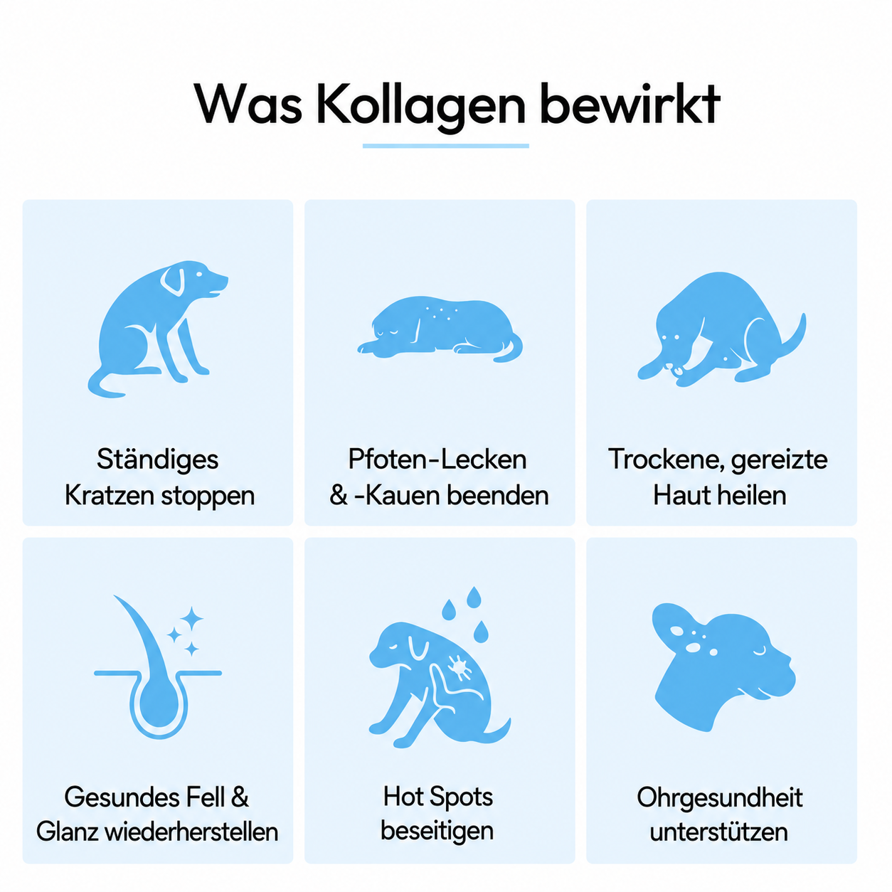 SELEVA Premium Flüssig-Kollagen für Hunde